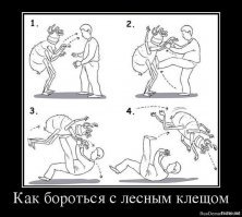 Не благодари.