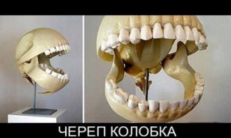 Как выглядели бы черепа мультяшных персонажей?