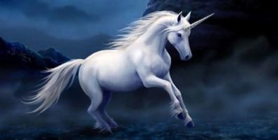 Вот если бы,он привел такую куйню, был бы праздник !!!