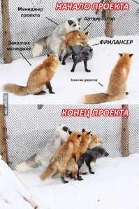 Прикольные и смешные картинки