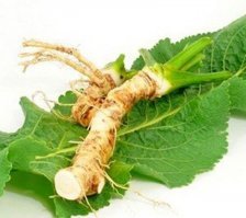 Вот хрен, а там морковка.