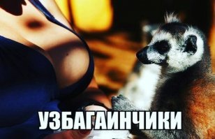 Прикольные и смешные картинки