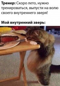 Прикольные и смешные картинки