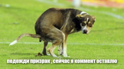Солянка от 06.03.2020