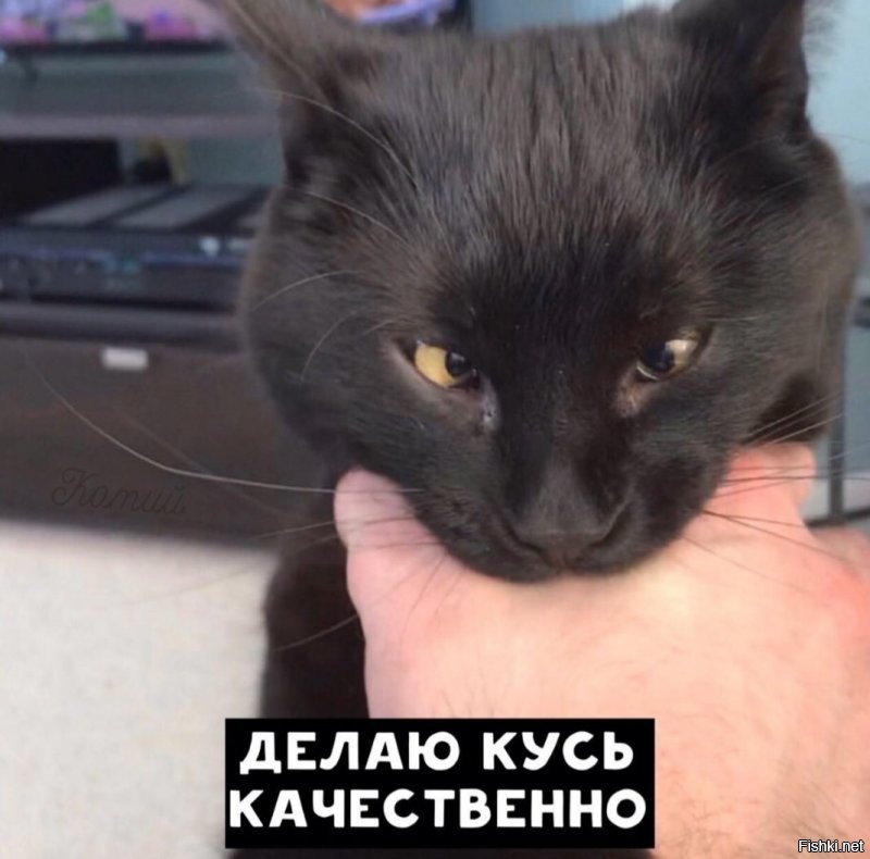 Солянка от 07.03.2020
