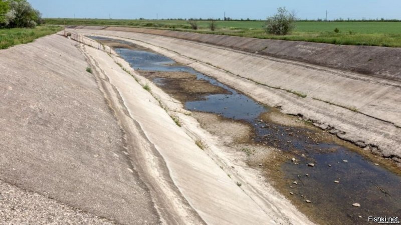 Обещайте подать воду в Крым, а вешать будем потом

Новый премьер-министр Украины Шмыгаль, почти сразу же после назначения, отметился громким заявлением о воде для Крыма. Он заявил, что подача воды в Крым, это «вопрос гуманитарной ответственности перед людьми, которые живут в Крыму»
Почти сразу же, пана Шмыгаля начали пожирать украинские патриоты, те самые, которые пованивают нацистским душком. Мол это предательство национальных интересов, капитуляция перед Путиным  и всё тому подобное. Для этих ребят, перекрытие воды в Крым является чем-то вроде национальной гордости, единственным, чем они смогли дать отпор агрессору. Хотя сам этот метод, он куда ближе к методам запрещённой в России организации «Исламское государство», которое во время войны в Сирии и Ираке точно так же поступало с осаждёнными городами. Ещё такие методы применяли нацисты во время Второй Мировой войны, один из подобных эпизодов – остановка водоснабжения Одессы в 1941 году.

Пан Шмыгаль достаточно быстро взял свои слова назад. Но причина этого – не реакция политического украинства, а то, что на самом деле воду в Крым никто подавать и не собирался. Ни по каким гуманитарным соображениям. О гуманизме там вообще никто не слышал и не знает, что это такое. Скорее всего, тема подачи воды в Крым, это некое прощупывание почвы на предмет будущей встречи в нормандском формате. Вполне вероятно, что руководство Украины всерьёз рассчитывает на то, что в обмен на обещание пустить воду в Крым, Россия согласится на какие-то уступки по минским соглашениям. В нынешнем виде минские соглашения Украиной невыполнимы и уже неоднократно звучали заявления о том, что их необходимо подкорректировать. Само собой, что Россия не согласится ни на какую коррекции. – как написано и подписано, так и должно выполняться. Но в администрации Зеленского, надеются выторговать хоть что-то, даже учитывая то, что товара для торговли никакого нет. Единственный более менее значимый товар – подача воды в Крым, но и тут рассчитывать Украине не на что. Крым уже шесть лет как-то справляется без украинской воды. Конечно же есть проблемы для сельского хозяйства, но всё равно, все как-то адаптировались к новым условиям, да и власти делают всё, чтобы дефицита воды не было. Вполне возможно, что через пару лет, о своём «товаре» украинцам вообще можно будет забыть. И уж разумеется, никто не будет подставлять людей живущих на Донбассе под самый настоящий геноцид, ради того, чтобы нацисты пустили в Крым воду. Слишком уж неравноценный торг, если вообще в данном случае можно говорить о торге.

А ещё, в словах Шмыгаля, я услышал нечто знакомое. Почему-то, прочитав его цитату, я сразу вспомнил слова Бориса Филатова, видного украинского нацика, ныне мэра города Днепр, сказанные им сразу после майдана о людях Донбасса: «Обещайте им что угодно, а вешать будем потом».

Тут ведь тоже речь идёт об обещаниях, которые, скорее всего выполнены не будут. Но эти обещания будут даны с той же самой целью, что декларировал в своё время Боря Филатов – вешать. В принципе, это единственное желание украинской власти по отношению к Крыму и Донбассу, несмотря на все их заявления о том, что они хотят мира и очень любят своих граждан, которые находятся в «оккупации». В этом плане, сакральные хотелки украинской власти, ровно ничем не отличаются от  хотелок патриотов-нацистов и даже странно, что сейчас происходит такая грызня между ними и действующей властью. Украинская власть прилежно идёт в фарватере той политики, что была заложена ещё при Петре Порошенко и явно не собирается ничего менять. Все эти наигранные стычки с нацистами, типа «Я не лох!», это лишь игра на публику, демонстрация того, что Зеленский хочет чего-то изменить. А на деле – в Петровском украинские войска уже вернулись на те же позиции, с которых с таким скандалом были отведены. И Зеленский прекрасно об этом знает. На деле – на Донбасс за последнее время обрушилось столько мин и снарядов, сколько было в самые горячие дни войны. Снова есть жертвы, раненные, разрушенные дома. И конца этому не видно.

Есть надежда, что в этот раз Россия попросту откажется участвовать в саммите в нормандском формате. Об этом уже предупреждали. Просто потому, что смысла в нём никакого нет. Зачем нужна эта вся косметика и показуха? Обмен пленными это безусловно хорошо, но это не принципиальный момент минских соглашений. Да и разведение сторон – тоже принципиально только на начальном этапе. Но даже и оно не соблюдается. А уж о других пунктах, прописанных в минских соглашениях и говорить нечего. И самое главное – украинские власти не собираются говорить с Донбассом напрямую, что является главным требованием минских соглашений.

На фоне всего этого, рассуждения нового премьера Украины о подаче воды в Крым – выглядят как-то уж совсем бессмысленно и нелепо. Особенно если при этом говорится о какой-то «гуманитарной ответственности».

Голос Мордора, специально для News