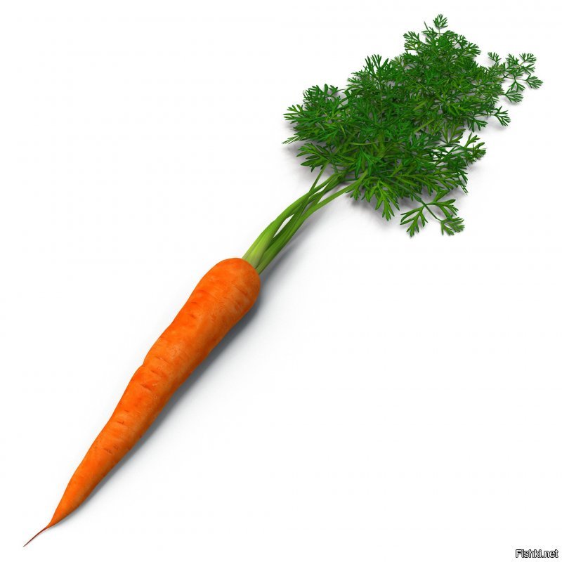 Вот морковка. А это хрен.