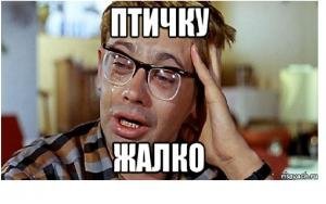 Фотоловушка запечатлела схватку ястреба и питона