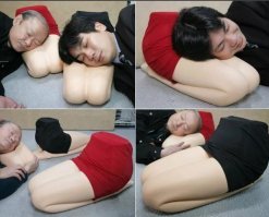 Кошка слишком любила лежать на коленях, и хитрые хозяева решили ее обмануть