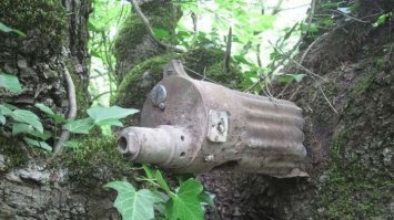 20 загадочных находок, которые люди случайно обнаружили в лесу