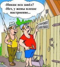 Прикольные и смешные картинки