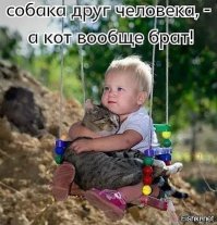 Картинки с надписями