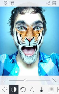 Прикольные и смешные картинки