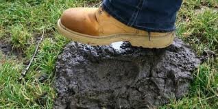 20 загадочных находок, которые люди случайно обнаружили в лесу