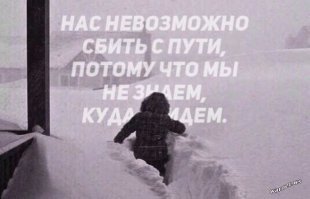 Прикольные и смешные картинки