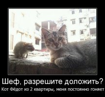 Шпионы среди животных