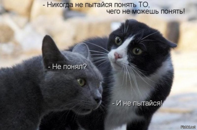 Солянка от 09.03.2020