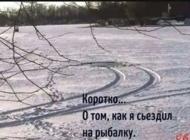 Прикольные и смешные картинки