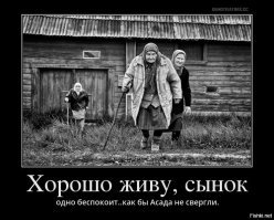 Будни архангельской деревни