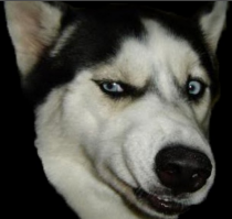 Вспомнилось говоришь...