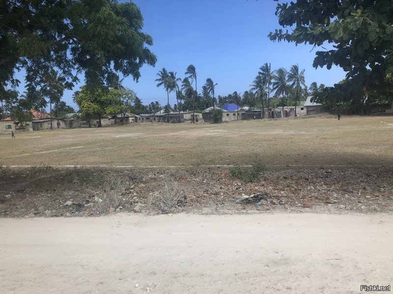 На Занзибаре день, два, на Сафари,в парк Микуми, еще день и все, кроме этого смотреть нечего, Селенгети далеко и по рассказам местных не очень, Килиманджаро 2000 баксов с человека и неделя подъема, если выдержишь, ездили к друзьям, поэтому и посмотрели, за потраченные деньги, на поездку и соизмеряя впечатления, есть куча мест в мире, которые можно посетить более интересно, как отдельный вояж не рекомендую.