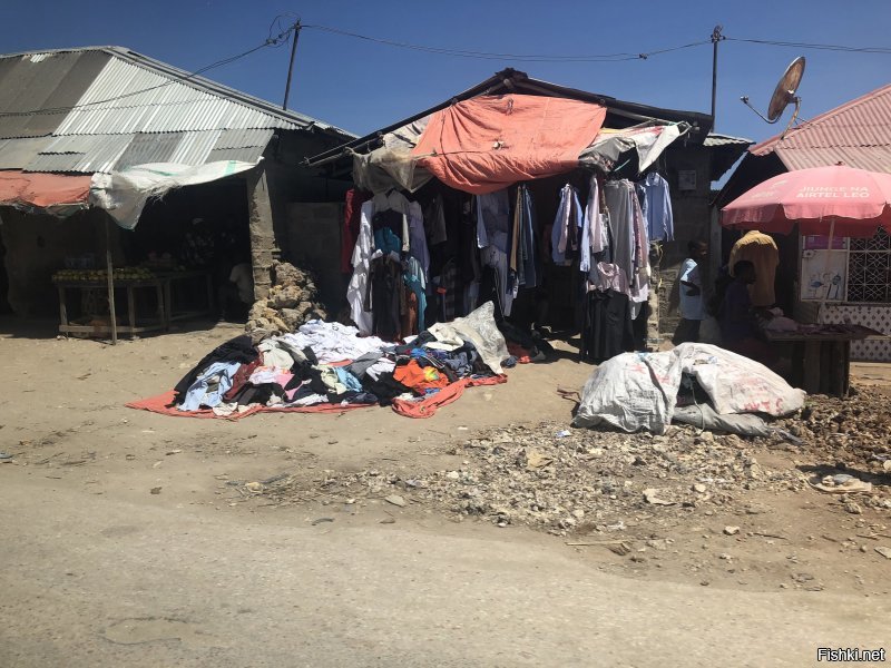 На Занзибаре день, два, на Сафари,в парк Микуми, еще день и все, кроме этого смотреть нечего, Селенгети далеко и по рассказам местных не очень, Килиманджаро 2000 баксов с человека и неделя подъема, если выдержишь, ездили к друзьям, поэтому и посмотрели, за потраченные деньги, на поездку и соизмеряя впечатления, есть куча мест в мире, которые можно посетить более интересно, как отдельный вояж не рекомендую.