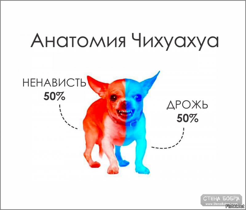 Кстати про Лукавого вы тут брехать начали, цепная чихуахуа империализма.