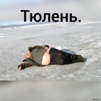 Различай: 20 зоологических шпаргалок, чтобы вы не путались в названиях