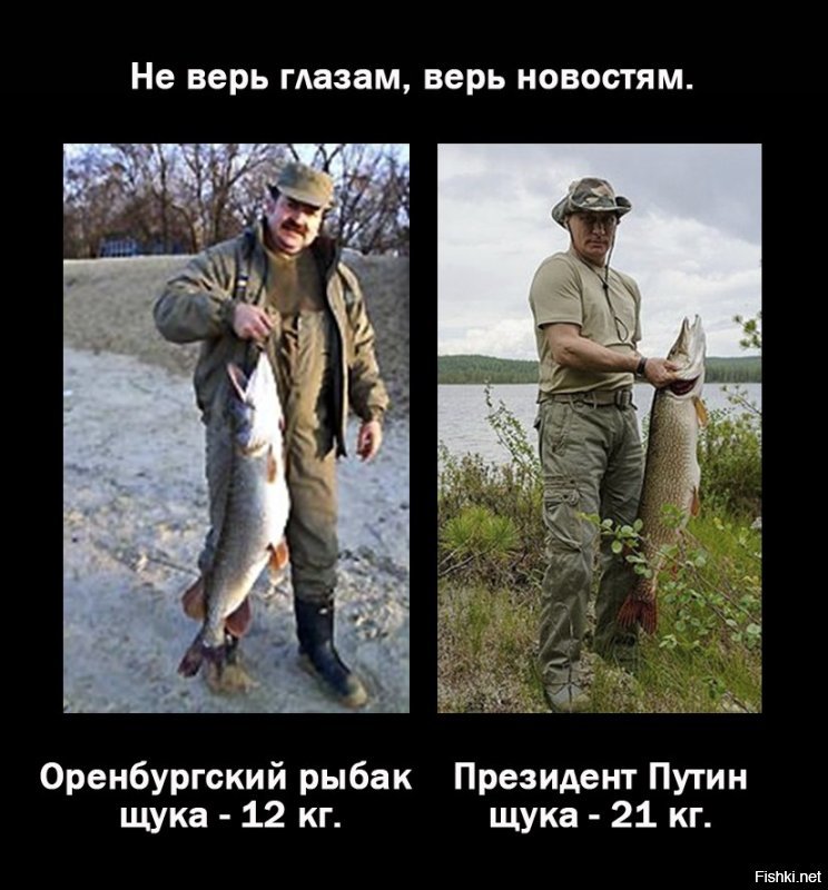 Самые большие речные рыбы в России