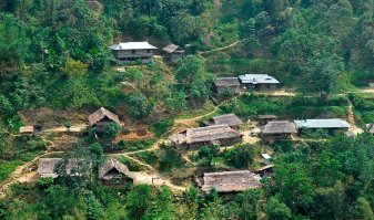 Уличный торговец тщательно моет свой товар перед продажей