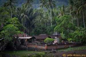 Уличный торговец тщательно моет свой товар перед продажей