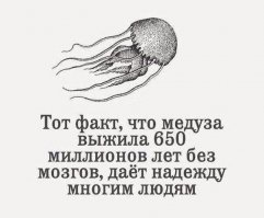 Как прокачивать мозг