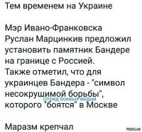 В Крыму начнет работать «скорая» для дельфинов
