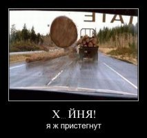 Упавшие с лесовоза бревна едва не раздавили автомобиль