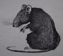 С 21 февраля Беглов добавил 1 рубль к стоимости проездного для пенсионеров.  Заслужил, по аналогии с предыдущими градоначальниками почётное наименование - Александр (крыса) Беглов.  И похож таки.