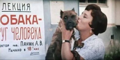 15 фактов о наших верных друзьях — собаках