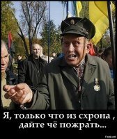 Не надо их кормить!