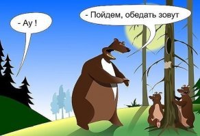 Прикольные картинки