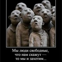 Просто хорошие и добрые новости из России за сутки