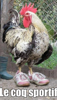 Фотоподборка