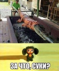 Картинки с надписями