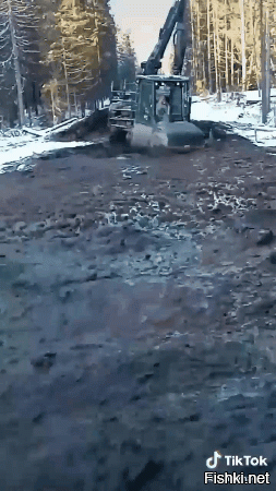 Автодор на гульках