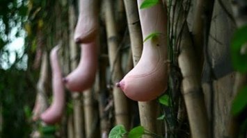Лица, они повсюду! Фотографии, которые разбудят вашу парейдолию