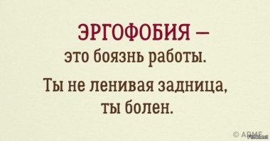 Кто сказал, что работы мечты не существует? Только факты