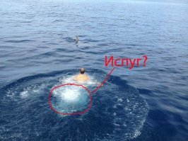 Бывают в жизни огорчения