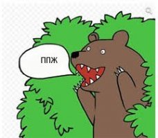 ППЖ - походно-полевые жены