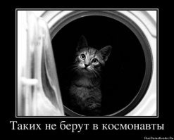 Двое друзей несколько раз потеряли сознание на аттракционе