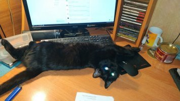 Только чёрных и держу.