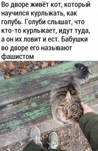 Ну, тупые - украинки нацарапали свои имена на фреске Рафаэля в Ватикане