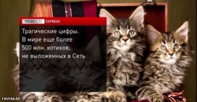 Котовсячина